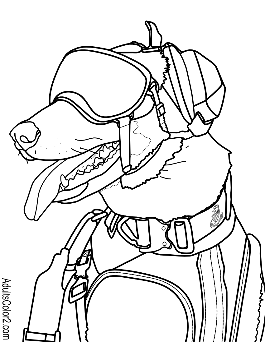 Working dogs crucial canines
