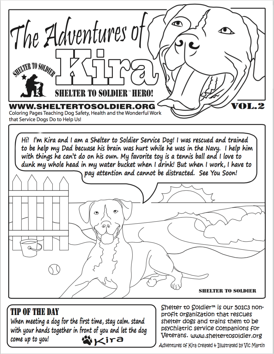 Shelter to soldier get your kids involved in the fun