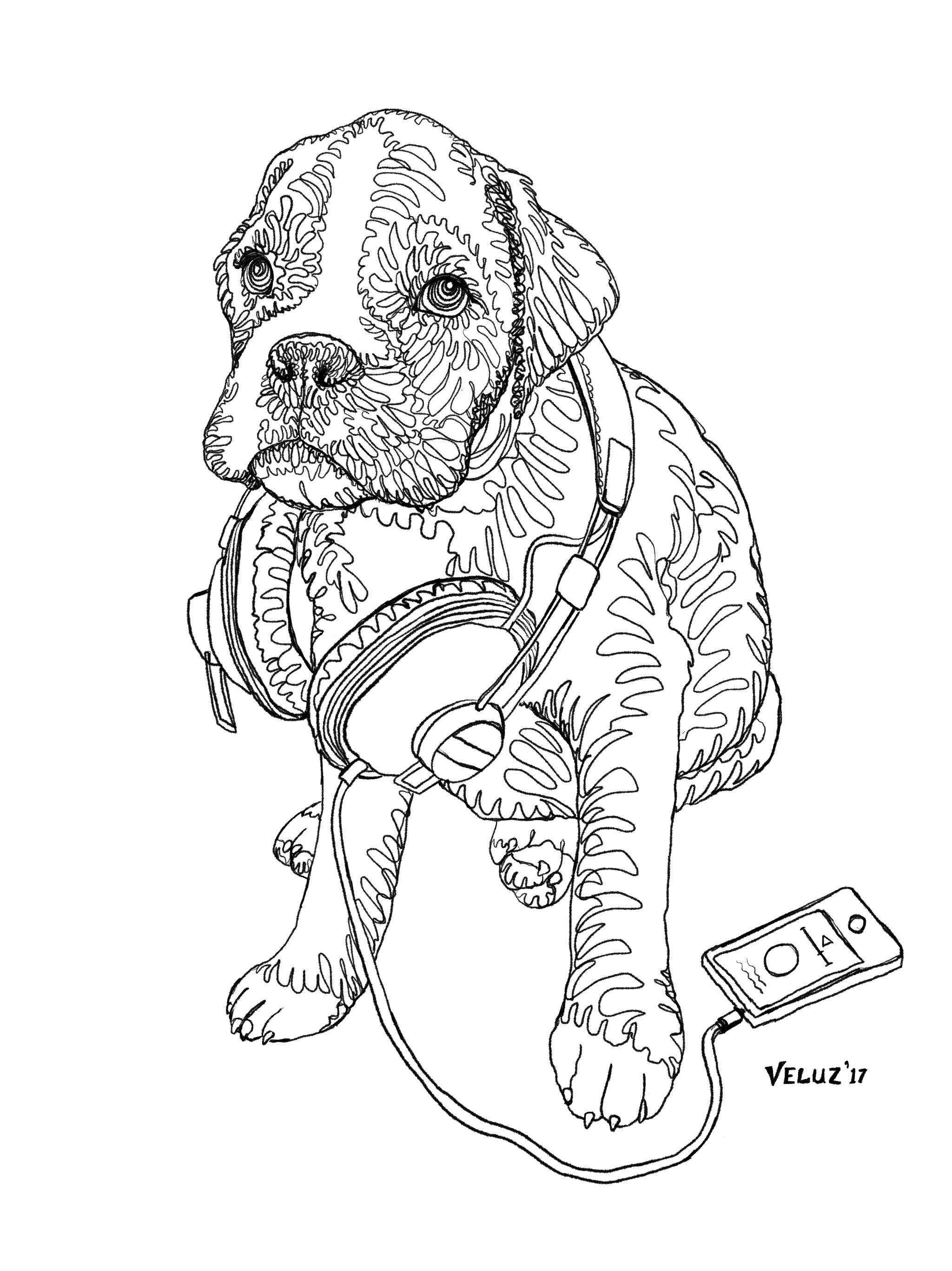Dog coloring book handmade art doodles by the dottist boxers bulldogs great dane muts