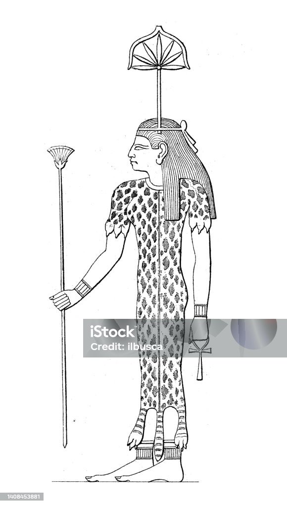 Antique engraving illustration civilization egyptian deities seshat
