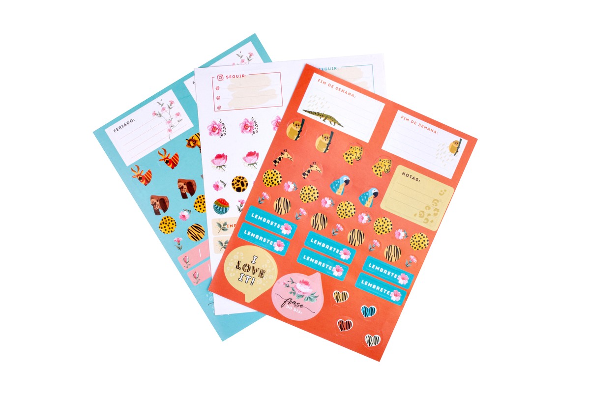 Kit de papelaria color lover xcm wild flower peãas