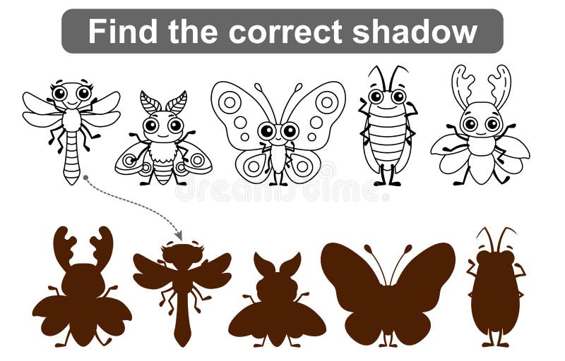 Find the correct shadow kids educational game coloring pages insects simple gaming level for preschool kids stock vector