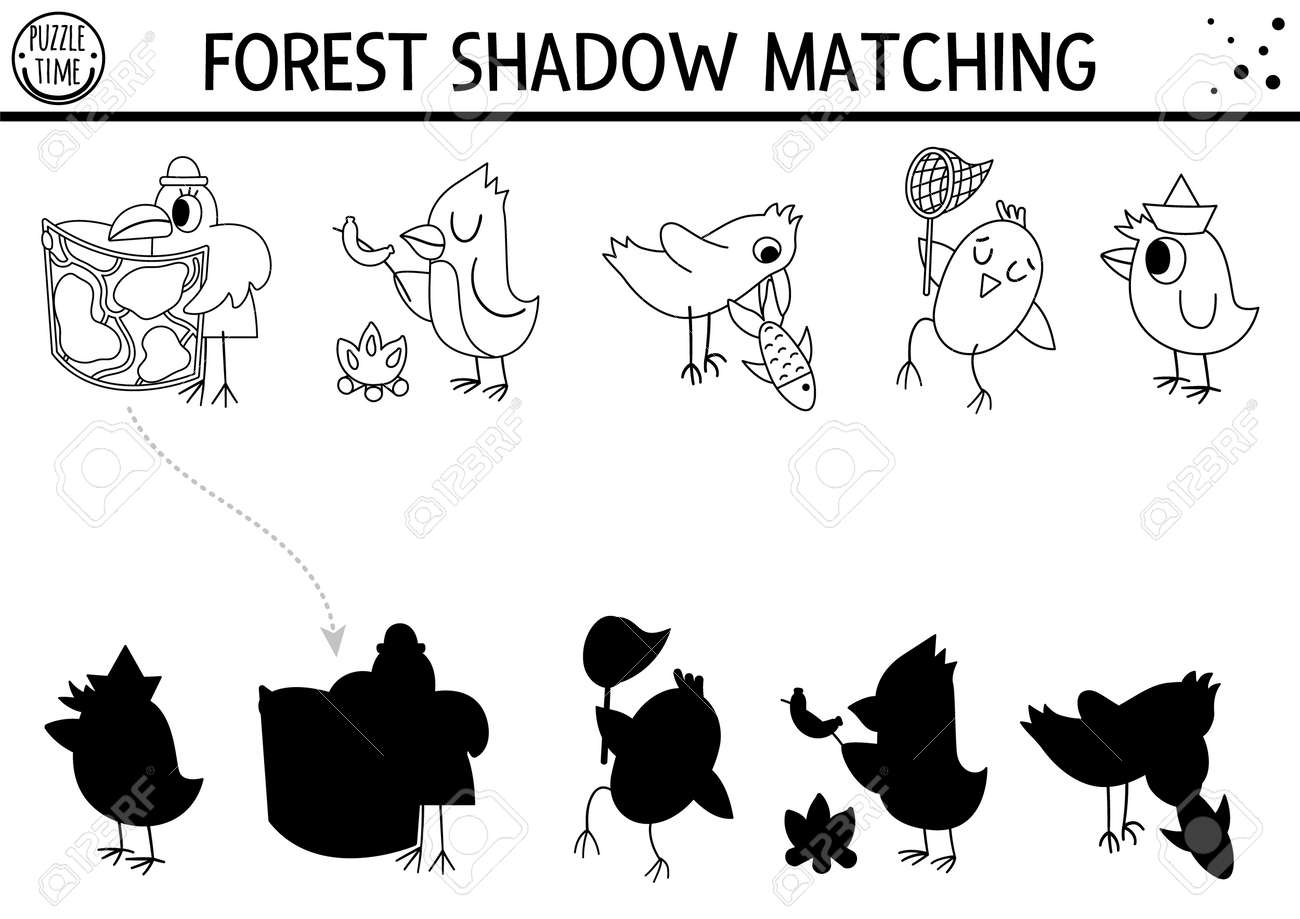 Forest or camping black and white shadow matching activity with cute animals road trip outline puzzle with birds raven find the correct silhouette printable worksheet or coloring page royalty free svg cliparts