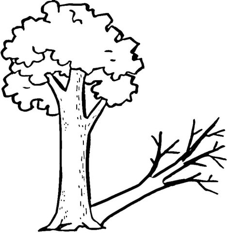 A tree and its strange shadow coloring page free printable coloring pages