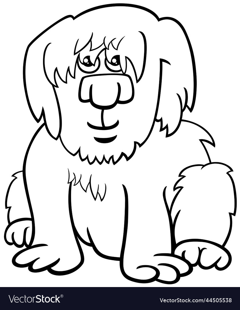 Cartoon shaggy dog character coloring page vector image