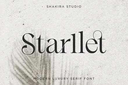 Shakira studio a creative market shop