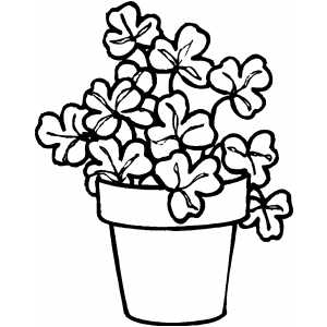 Shamrock plant coloring page