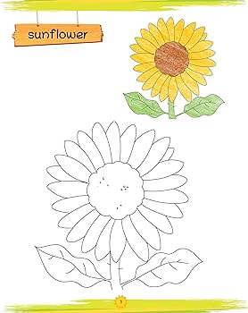 Oswaal lil legends book of copy colourg for kidsto learn about vegetables transport shapes numbers fruits flowers clothes birds animals alphabets set of books age oswaal editorial board
