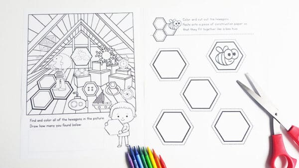 Shape of the week program