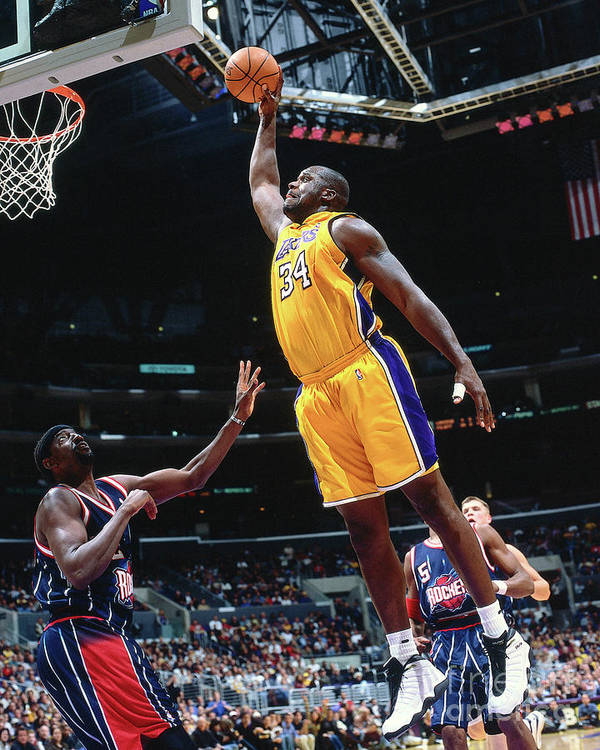 Shaquille oneal art print by robert mora