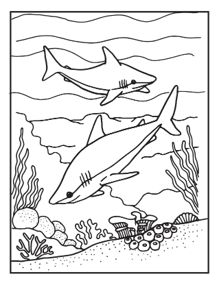 Shark coloring pages