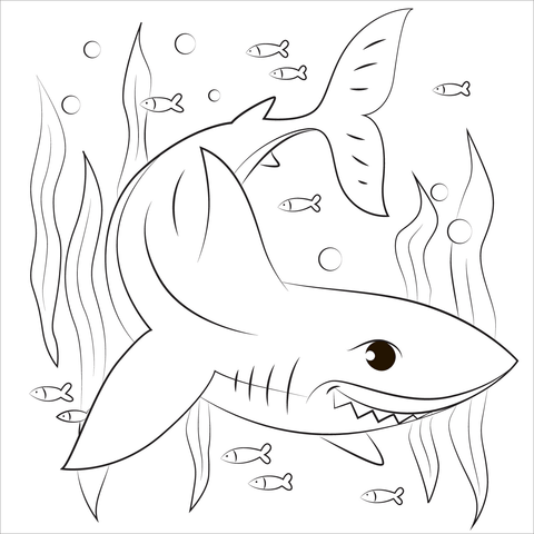 Shark coloring page free printable coloring pages