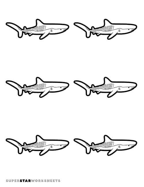 Shark template