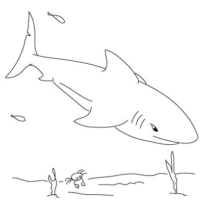 How to draw a shark fun drawing lessons for kids adults shark drawing animal drawings fish drawings
