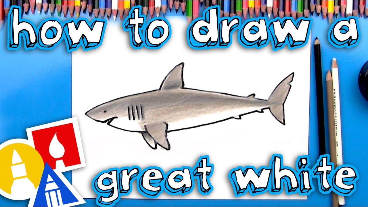 How to draw a great white shark