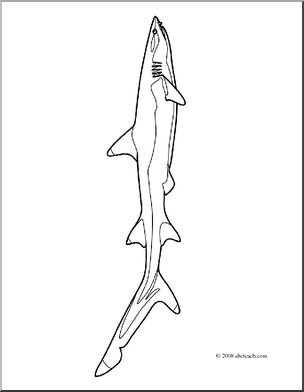 Clip art sharks white tip reef shark coloring page i