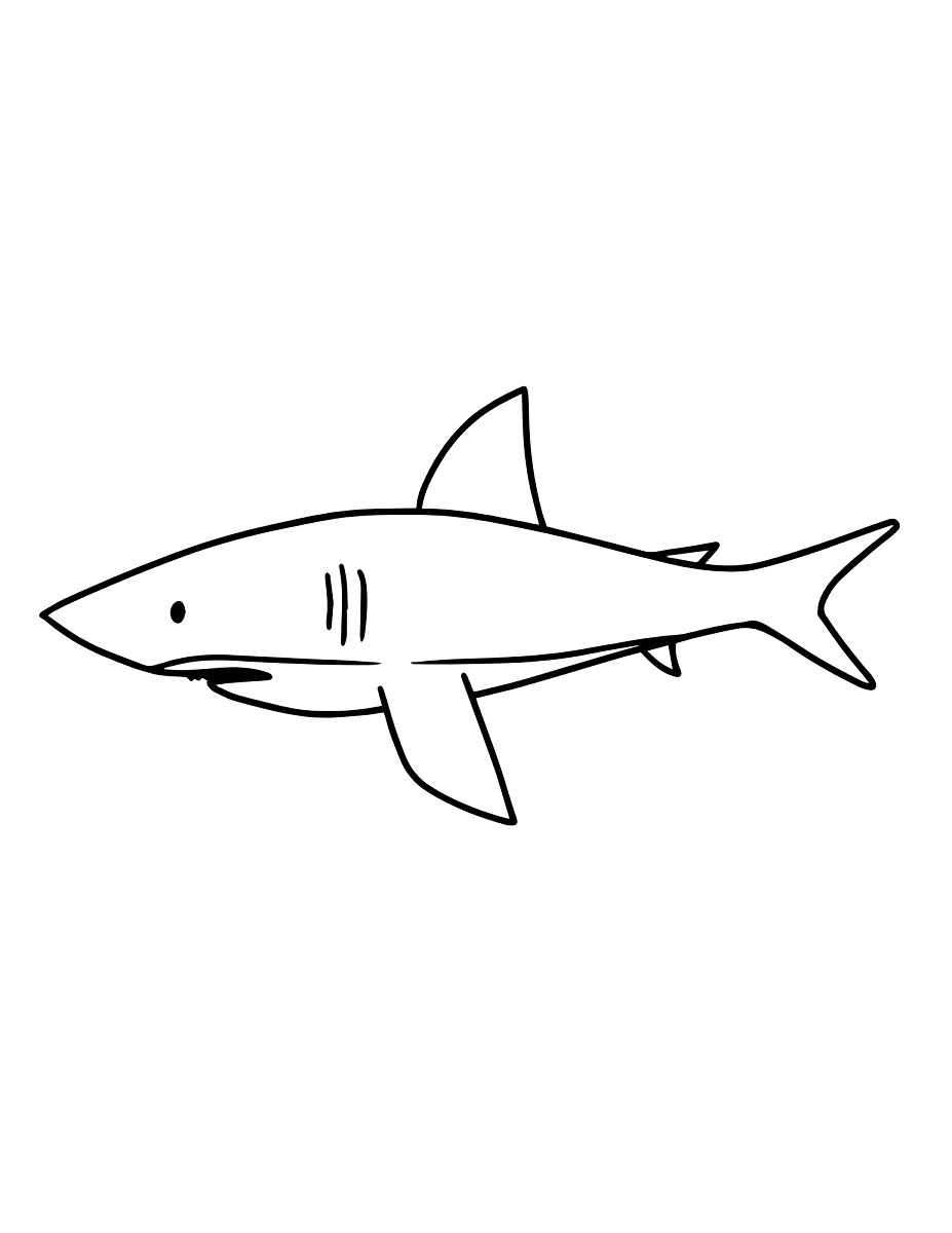 How to draw a shark easy step by step