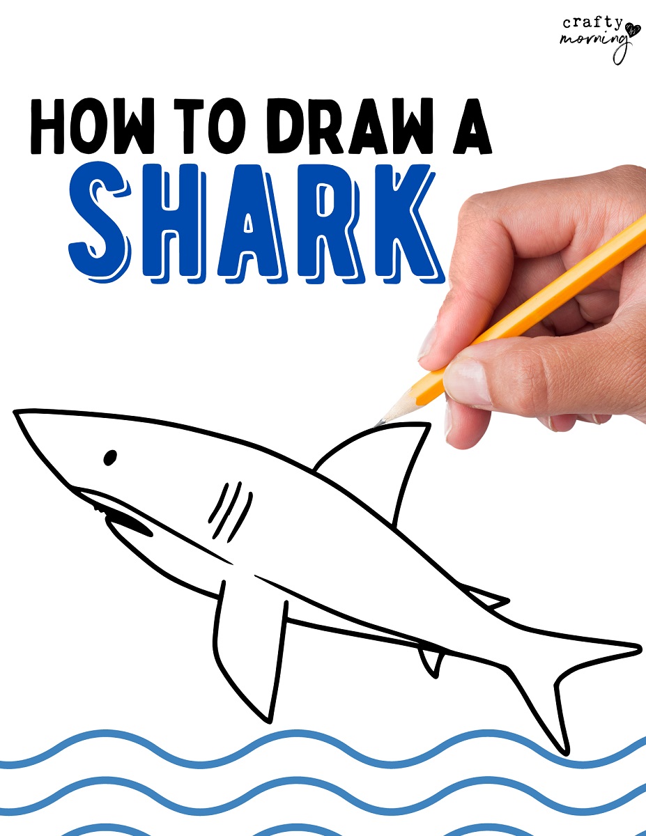 How to draw a shark easy step by step