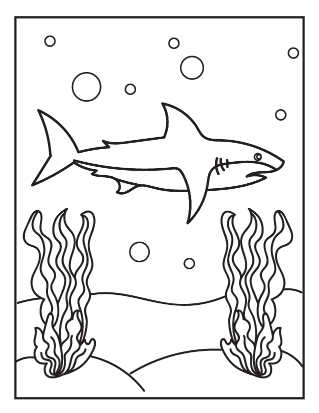 Shark coloring pages