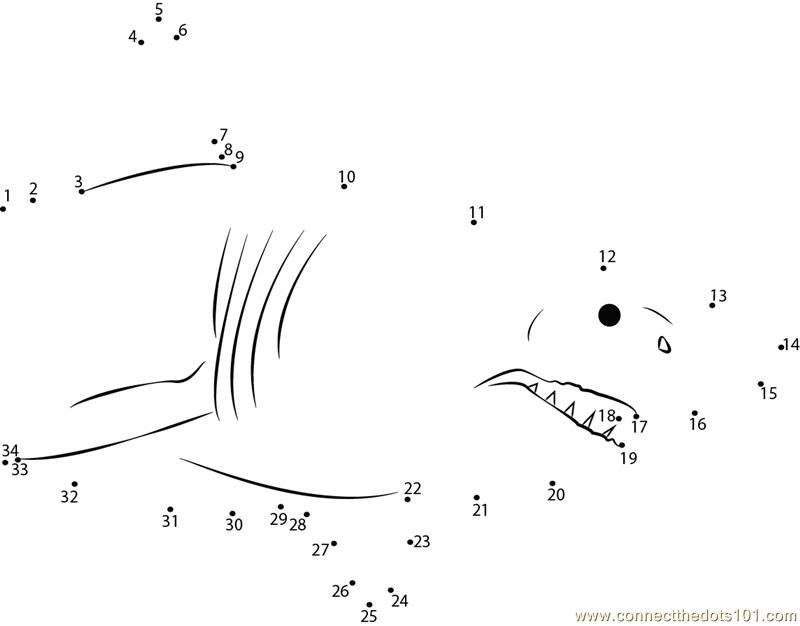Shark killer dot to dot printable worksheet