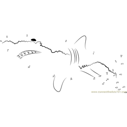 Shark connect the dots worksheets printable for kids