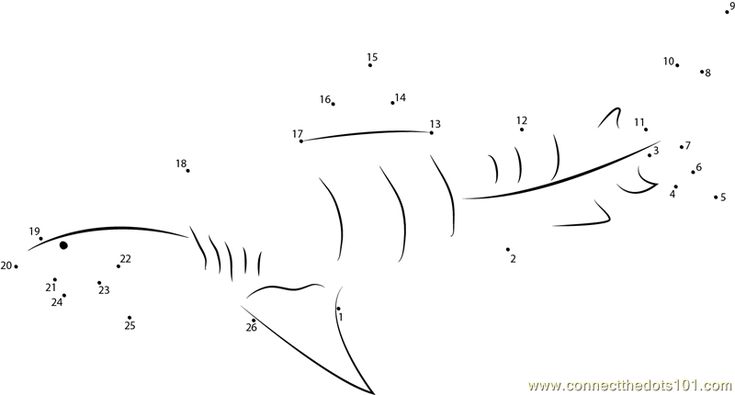 Download or prt tiger shark underwater dot to dot prtable worksheet from animalsshark connect the dots category tiger shark underwater shark