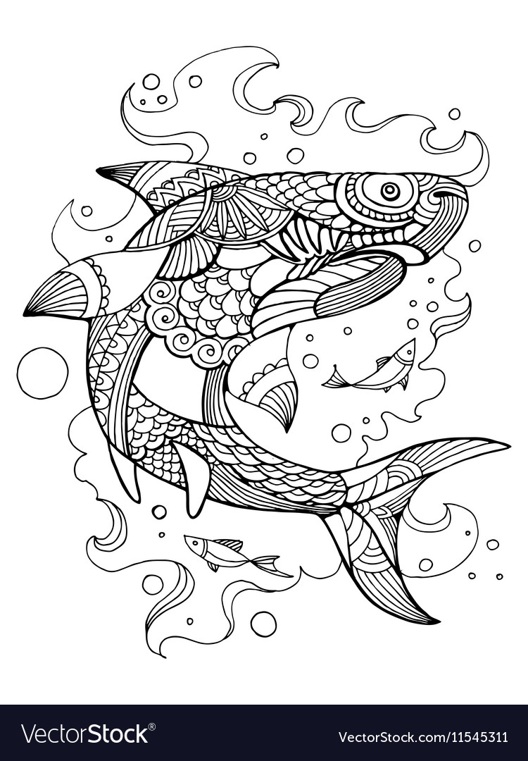 Shark coloring book for adults royalty free vector image