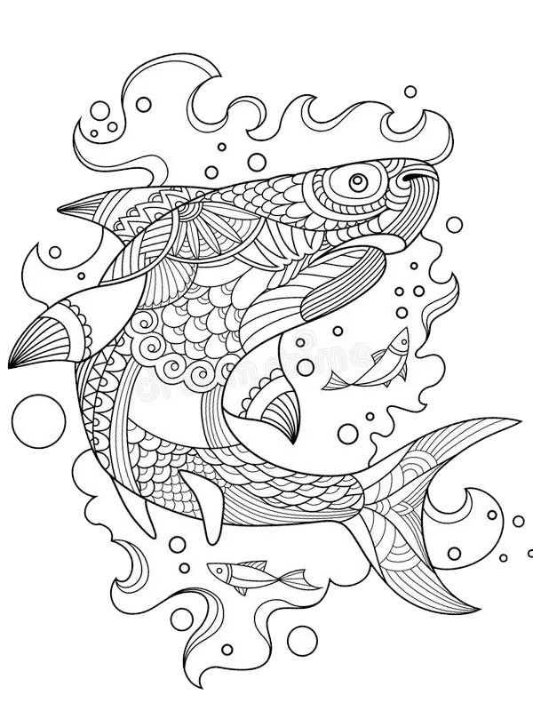 Shark for adults coloring page