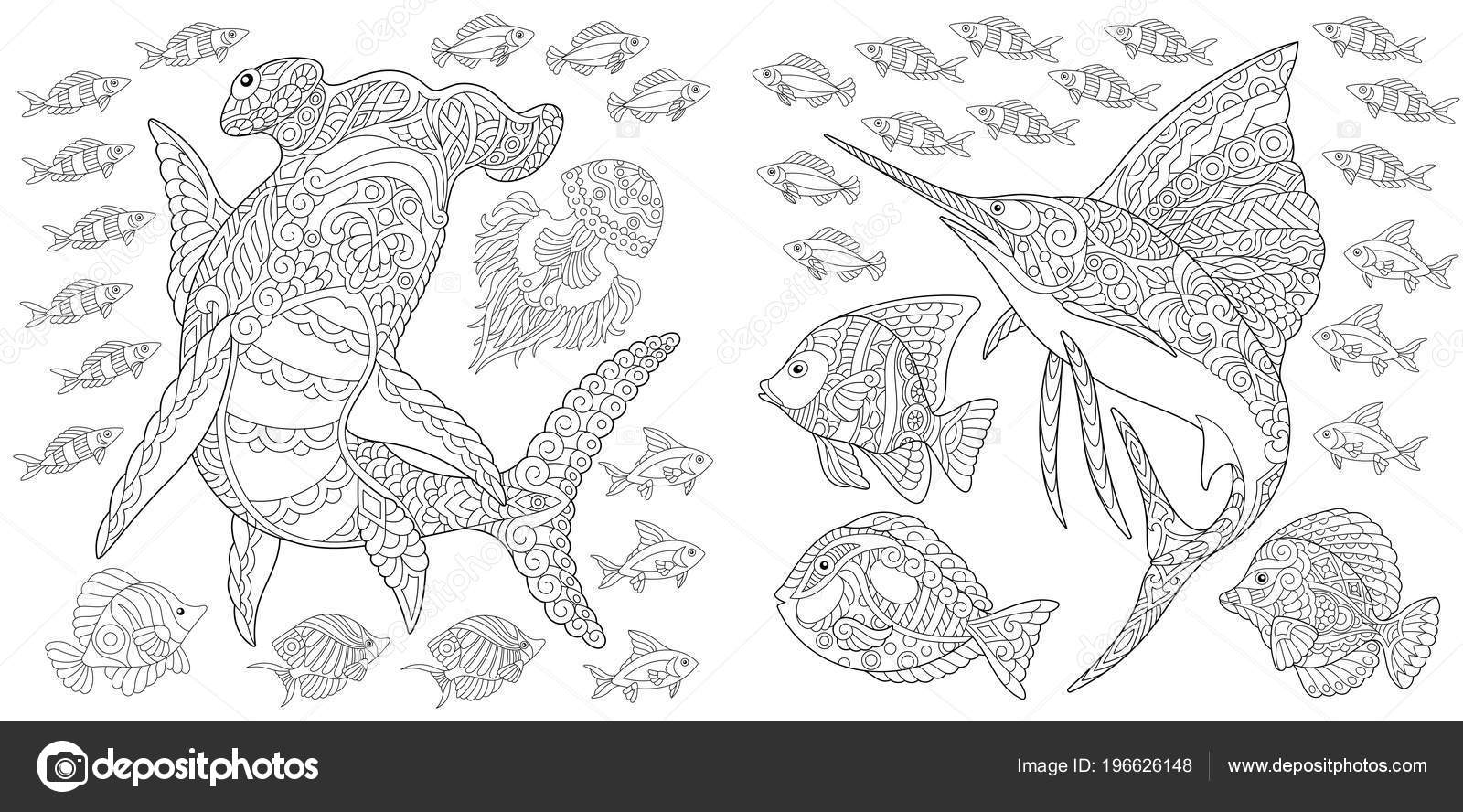 Ocean nature panorama hammerhead shark sailfish tropical fishes different species stock vector by sybirko