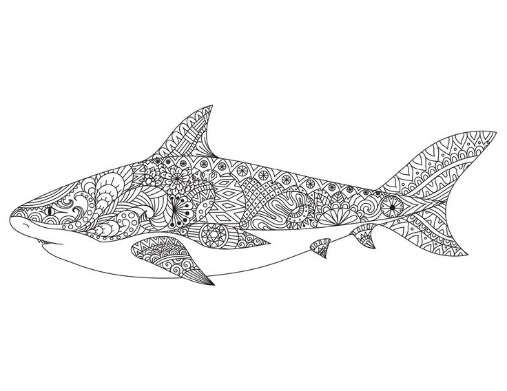 Coloriage shark coloring pages shark background adult coloring pages