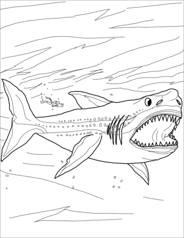 Megalodon shark coloring page free printable coloring pages