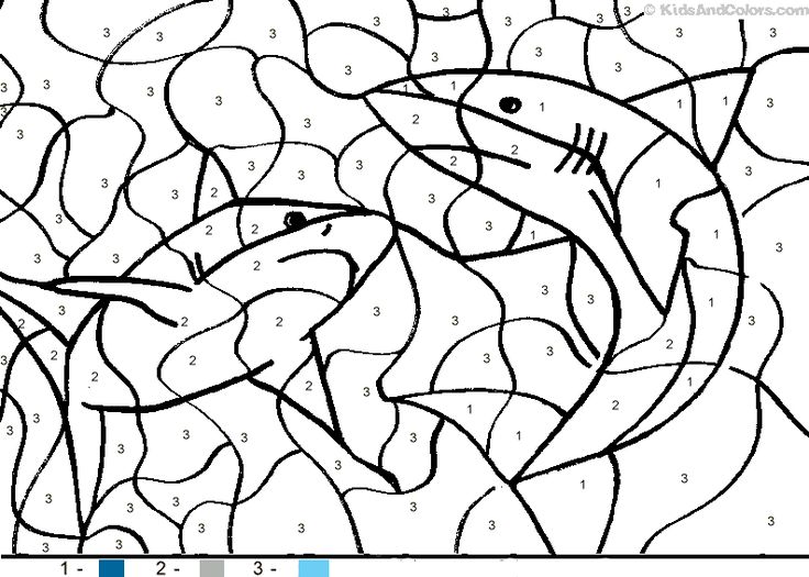 Shark coloring pages ideas shark coloring pages coloring pages animal coloring pages
