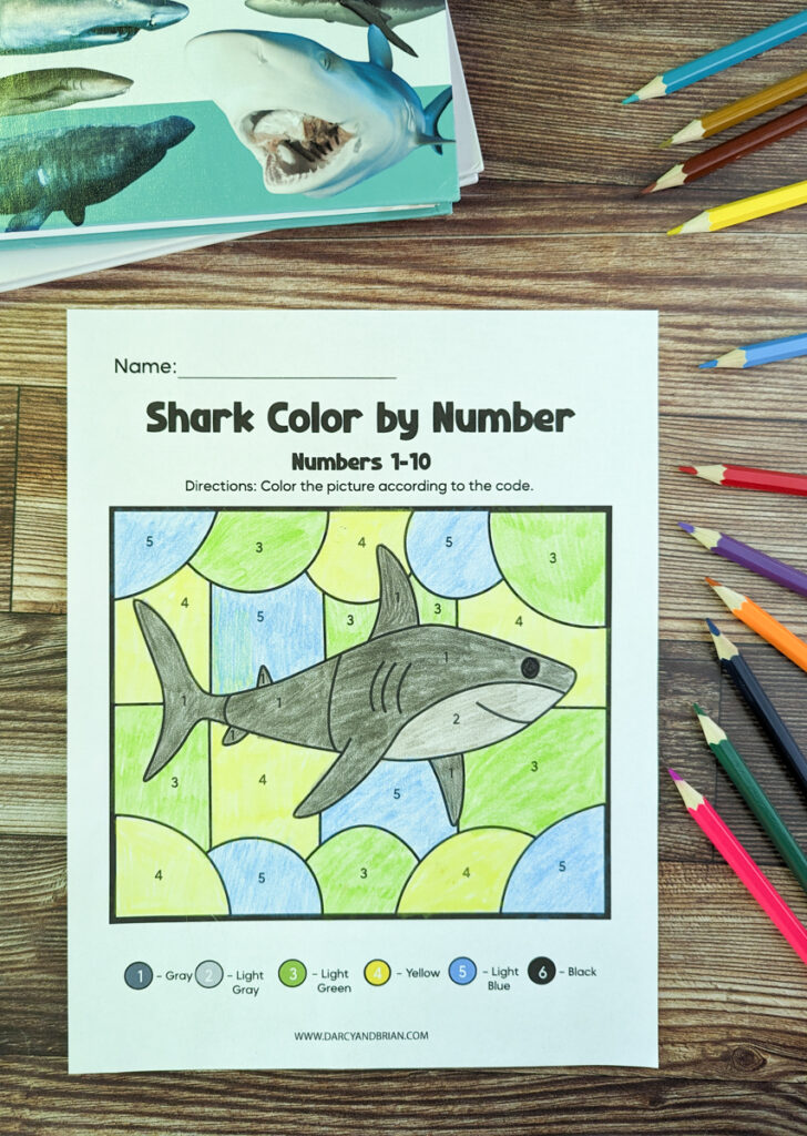 Printable shark color by number worksheets preschool math