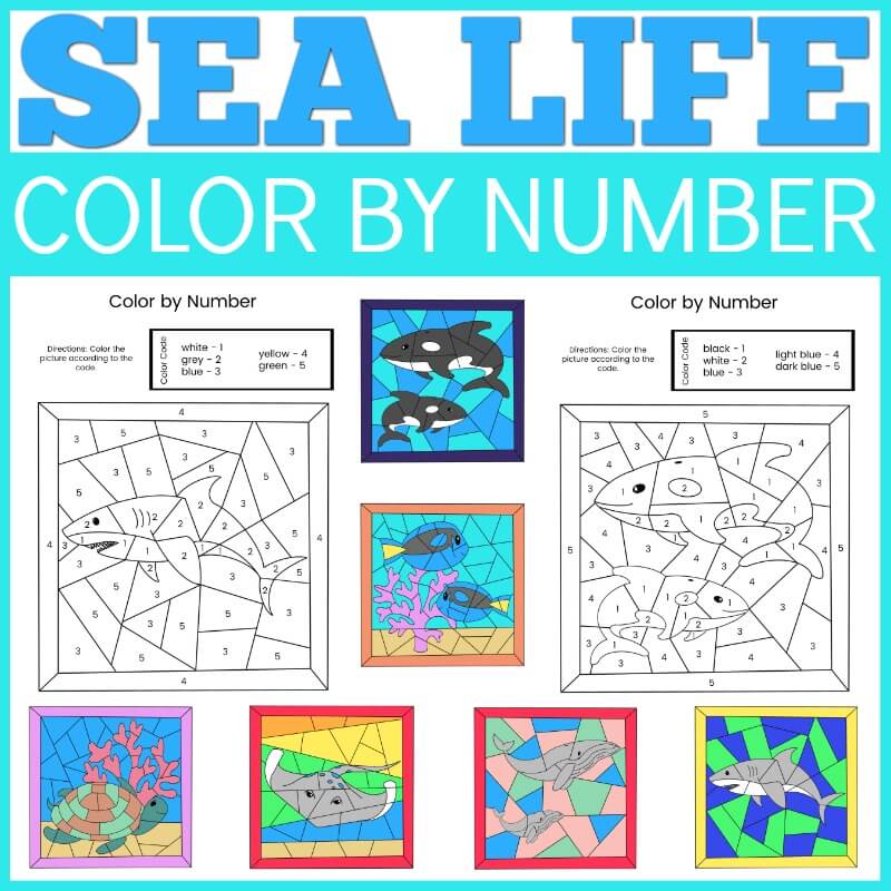Sea life color by number printable