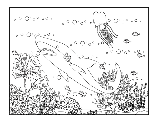 Shark coloring pages