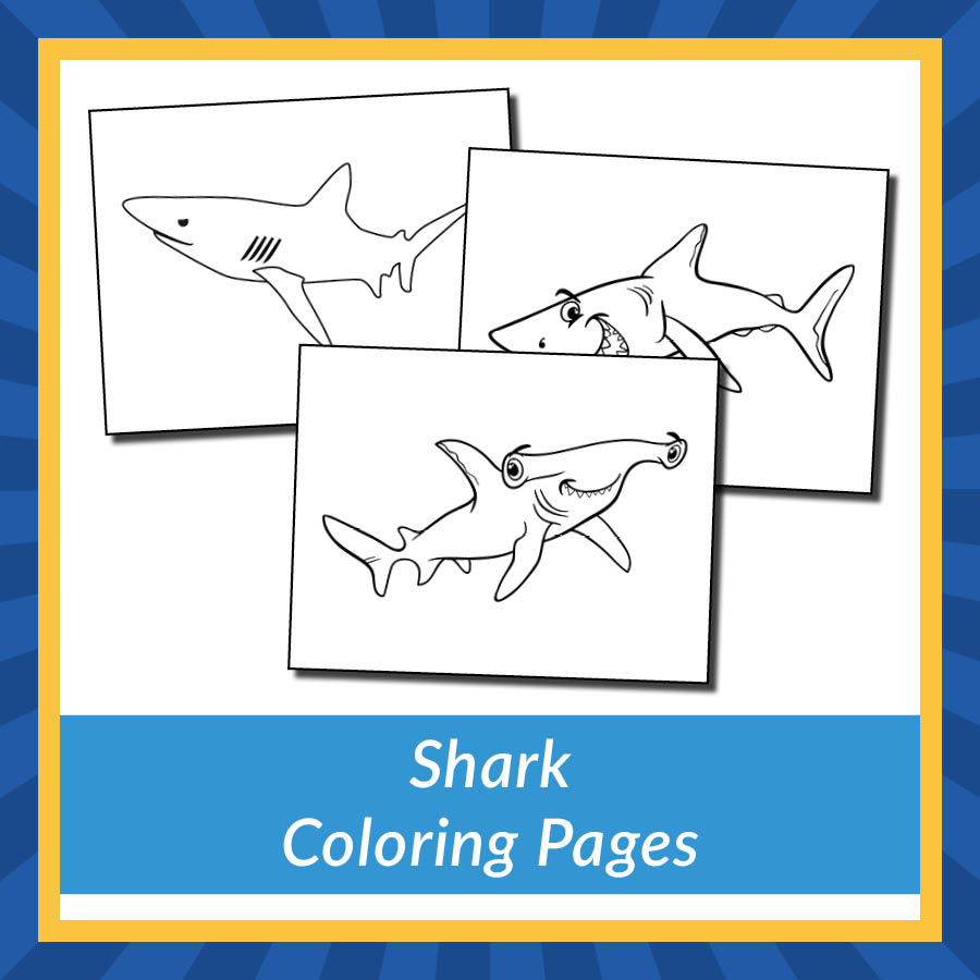 Shark coloring pages