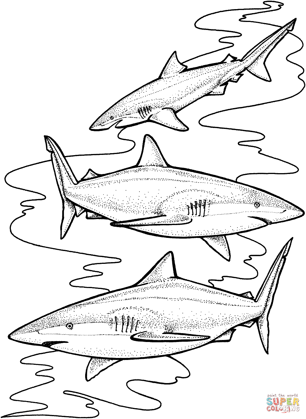 Three tiger sharks coloring page free printable coloring pages