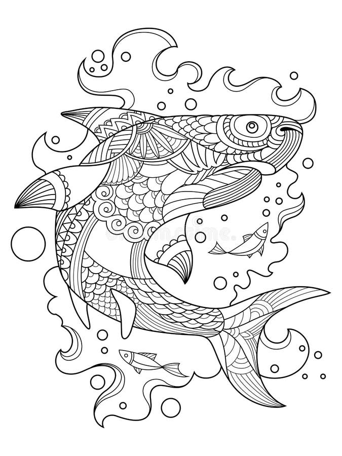 Shark coloring book for adults vector stock vector