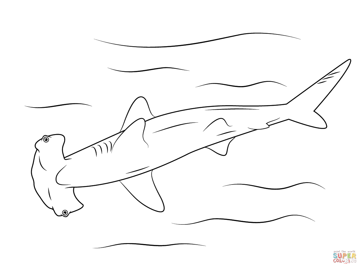 Hammerhead shark coloring page free printable coloring pages