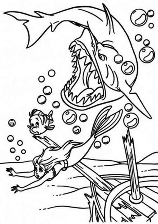Free easy to print shark coloring pages