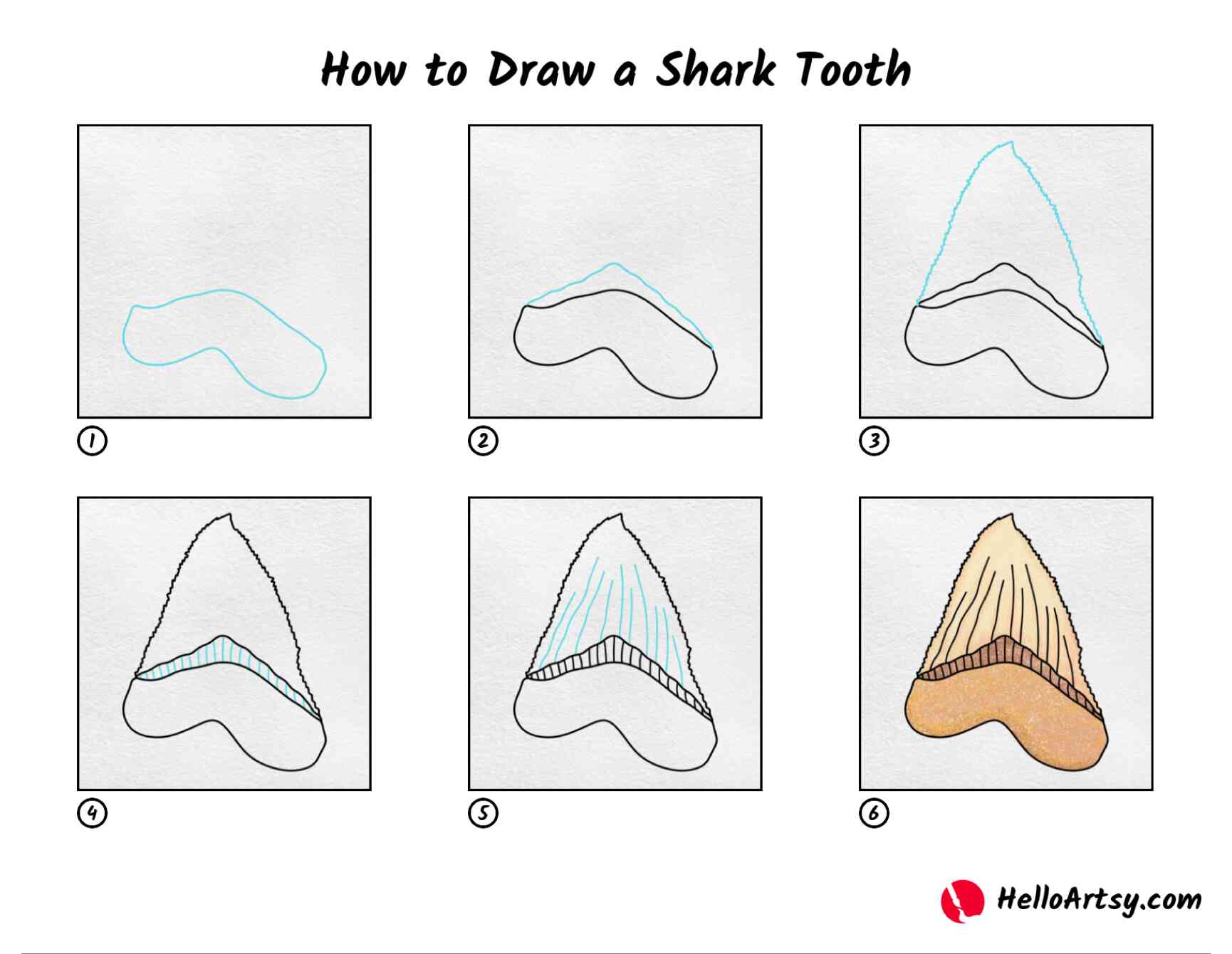How to draw a shark tooth