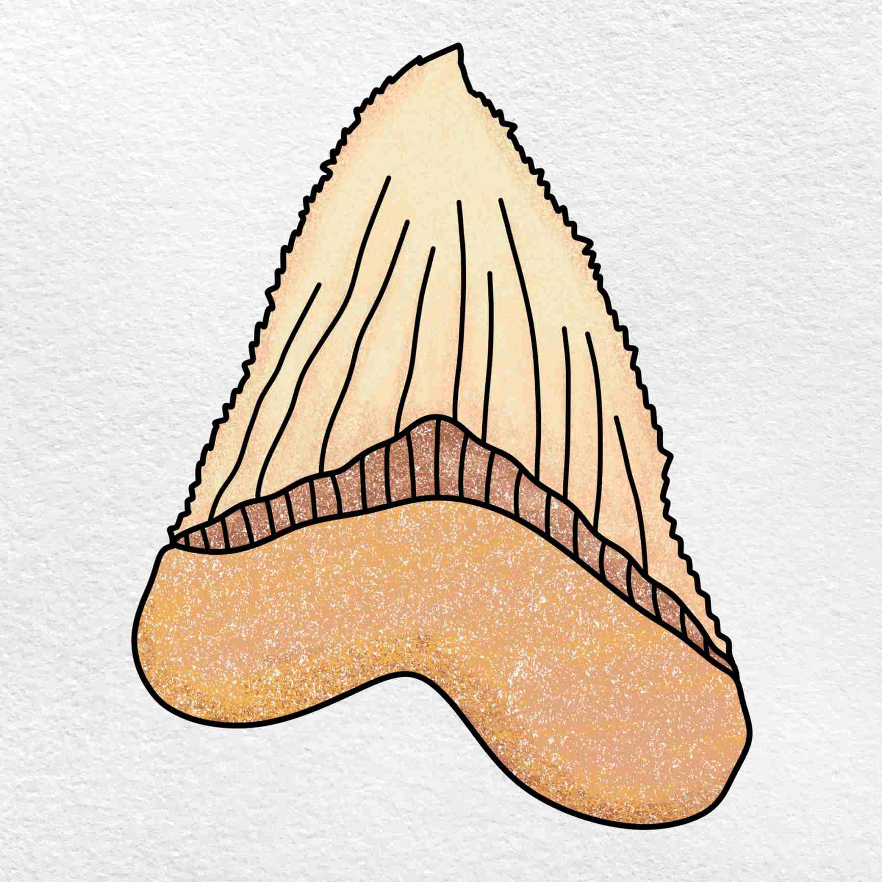 How to draw a shark tooth