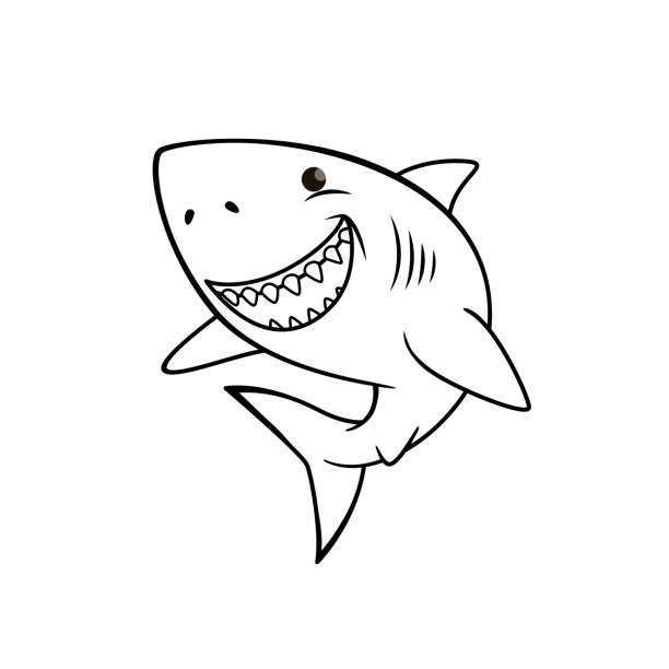 Shark teeth white background stock illustrations royalty