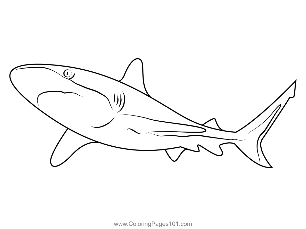 Shark coloring page shark coloring pages coloring pages coloring pages for kids
