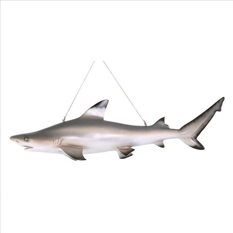 Design toscano blacktip shark ceiling mount trophy sculpture