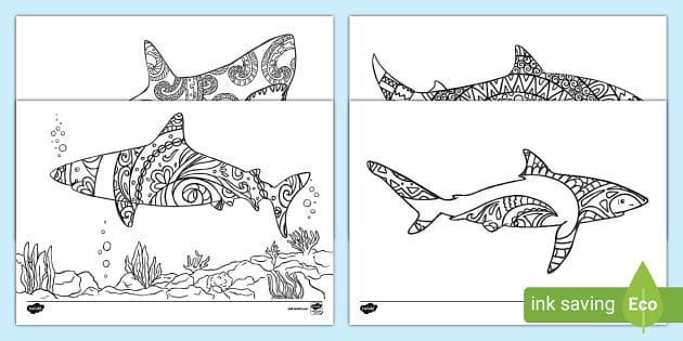 Sharks louring pages primary resources teacher made