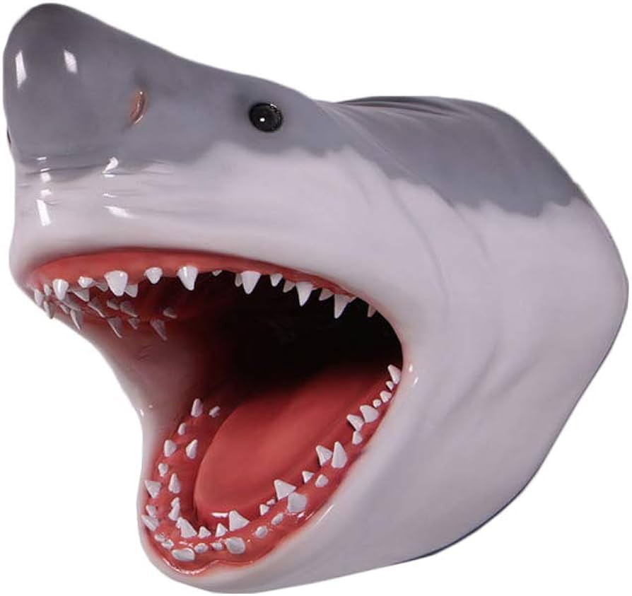 Nautical tropical imports great white shark head large trophy wall sculpture decor inch home kitchen