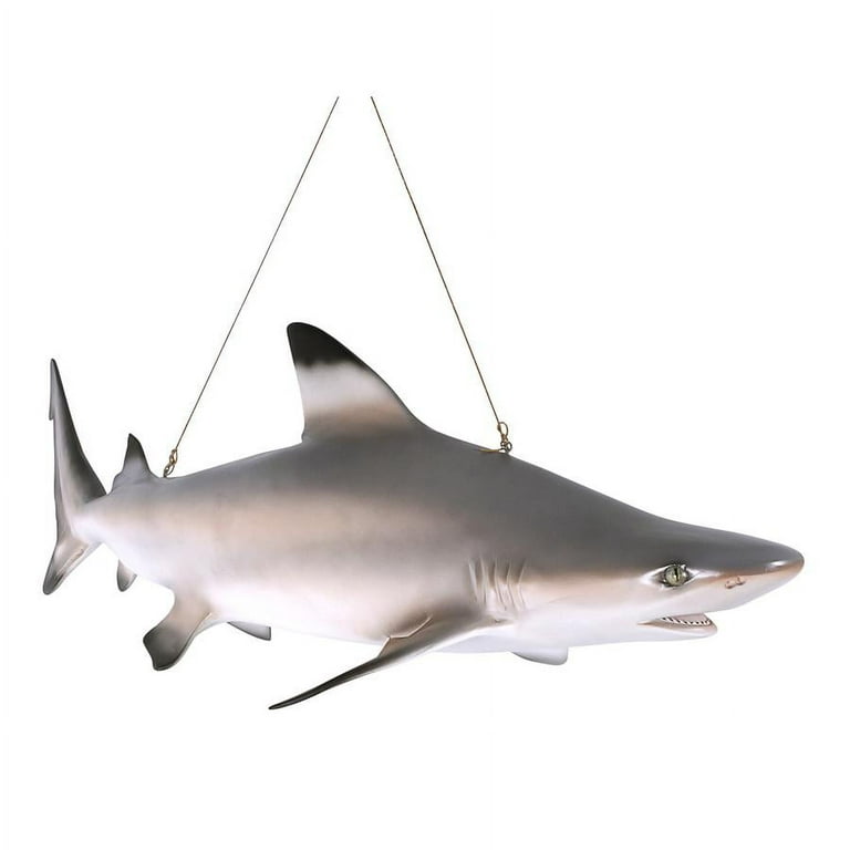 Design toscano blacktip shark ceiling mount trophy sculpture