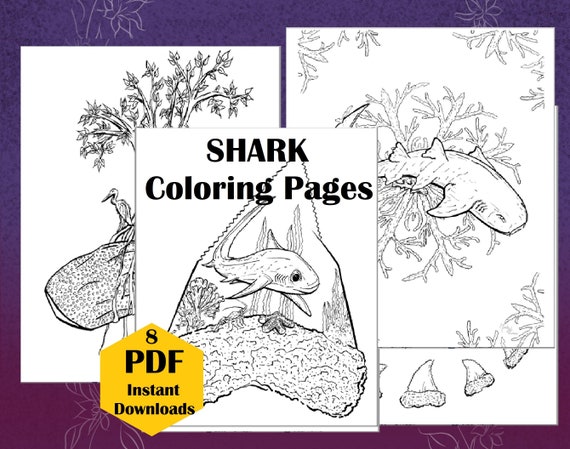 Shark artwork wild animal coloring pages shark week great white hand drawn adult coloring book kids coloring page kid activity sheet