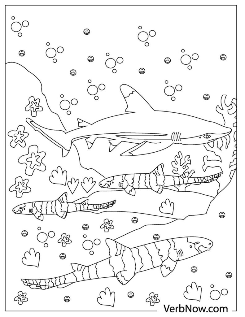 Free sharks coloring pages for download printable pdf